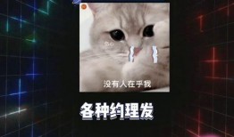 吃瓜课代表娱乐博主,吃瓜课代表带你领略明星们的真实生活